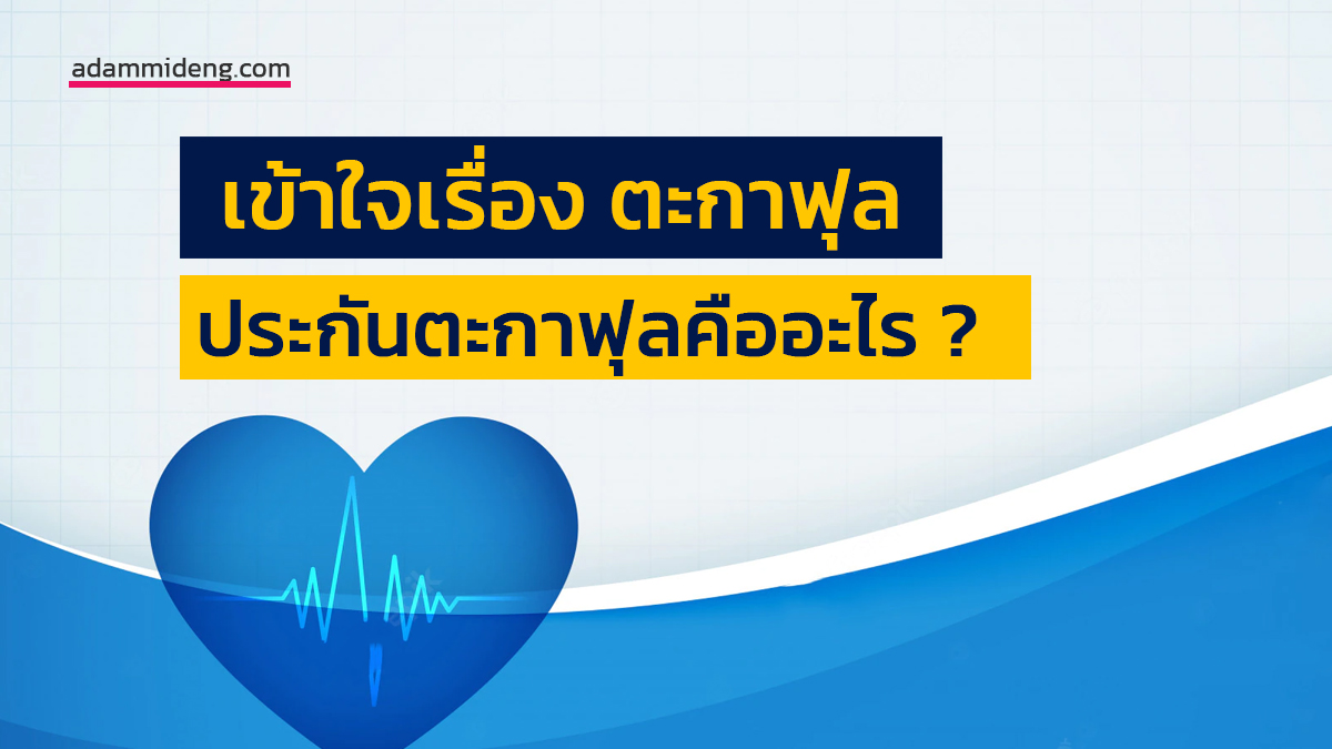 ตะกาฟุล เป็นคำที่มาจากภาษาอาหรับ หมายความถึง การประกันซึ่งกันและกัน ในรูปแบบของการประกันสมาชิกจะจ่ายเงินสมทบเข้ากองทุนซึ่งสมาชิกของกองทุนสมัครใจที่จะแบ่งปันความเสี่ยงซึ่งกันและกัน